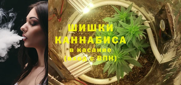 гидропоника Алзамай